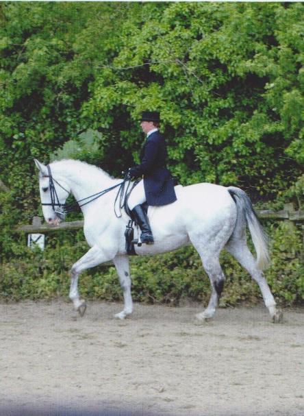 Nicky Harrison Riding Instructor